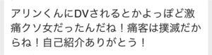 枕営業　本カノ　ホスト　メンヘラ　地雷系　量産型　歌舞伎町　ホス狂い　出稼ぎ　担当狂い　騙された　本営　詐欺　金持ち　海外出稼ぎ　パパ活　枕　桜華アリン